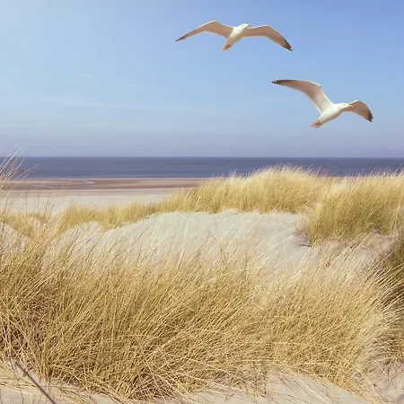 Lachmoewe Maison d'hôtes 3*